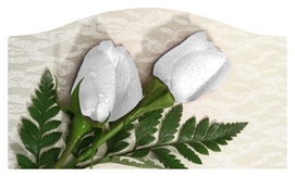 DASHELL-060 2 Roses White